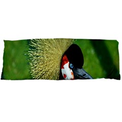 Bird Hairstyle Animals Sexy Beauty Body Pillow Case Dakimakura (two Sides) by Mariart
