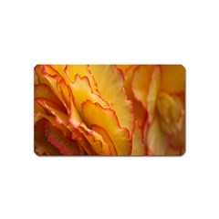 Flowers Leaves Leaf Floral Summer Magnet (name Card) by Celenk