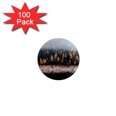 Trees Plants Nature Forests Lake 1  Mini Magnets (100 Pack) 