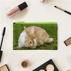 Beautiful Blue Eyed Bunny On Green Grass Cosmetic Bag (xs)