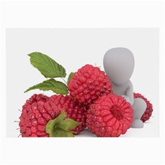 Fruit Healthy Vitamin Vegan Large Glasses Cloth (2-side)