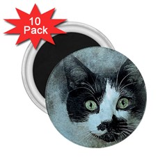 Cat Pet Art Abstract Vintage 2 25  Magnets (10 Pack)  by Celenk