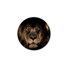 African Lion Mane Close Eyes Golf Ball Marker (10 Pack)