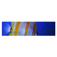 Butterfly Fish 1 Satin Scarf (oblong) by trendistuff