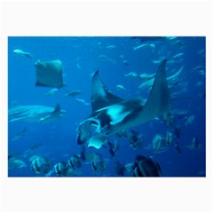 Manta Ray 2 Large Glasses Cloth (2-side)