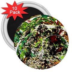 April   Birds Of Paradise 5 3  Magnets (10 Pack) 