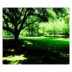 Lake Park 14 Double Sided Flano Blanket (small) 