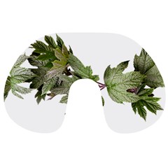 Leaves Plant Branch Nature Foliage Travel Neck Pillows