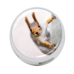Curious Squirrel 4-port Usb Hub (two Sides) by FunnyCow
