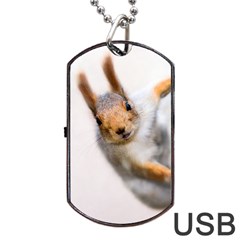 Curious Squirrel Dog Tag Usb Flash (one Side) by FunnyCow