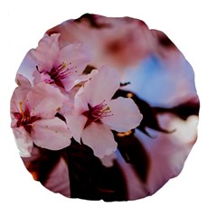 Three Sakura Flowers Large 18  Premium Flano Round Cushions