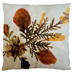 Holy Land Flowers 2 Large Flano Cushion Case (one Side)