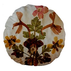 Holy Land Flowers 12 Large 18  Premium Round Cushions