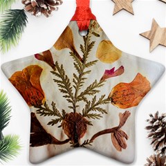 Holy Land Flowers 13 Star Ornament (two Sides)