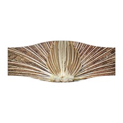 Peacock Wheel Bird Nature Stretchable Headband