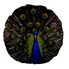 Peacock Bird Plumage Display Full Large 18  Premium Round Cushions by Wegoenart