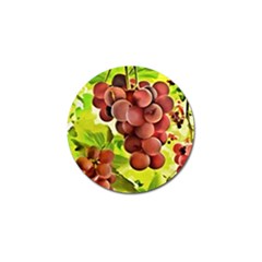 Grape Harvest Nature Figure Rustic Golf Ball Marker (4 Pack)