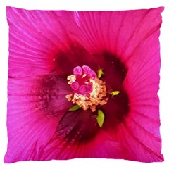 Deep Pink And Crimson Hibiscus Flower Macro Standard Flano Cushion Case (two Sides) by myrubiogarden