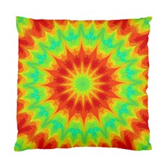 Kaleidoscope Background Mandala Red Green Standard Cushion Case (two Sides) by Mariart