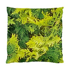 Garden Of The Phoenix Standard Cushion Case (two Sides) by Riverwoman