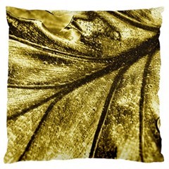 Backdrop Background Blank Color Standard Flano Cushion Case (one Side) by Pakrebo