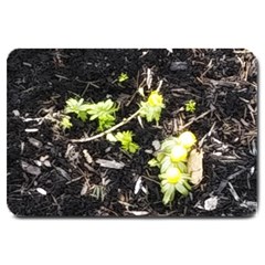 Signs Of Spring Large Doormat 