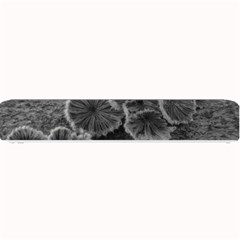 Tree Fungus Black And White Small Bar Mats by okhismakingart