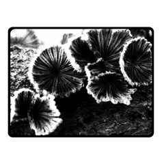 Tree Fungus High Contrast Fleece Blanket (small) by okhismakingart