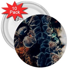 Tree Fungus Branch Vertical 3  Buttons (10 Pack)  by okhismakingart