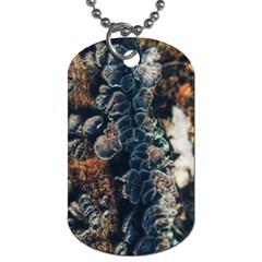 Tree Fungus Branch Vertical Dog Tag (two Sides) by okhismakingart