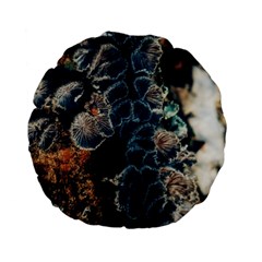 Tree Fungus Branch Vertical Standard 15  Premium Flano Round Cushions by okhismakingart