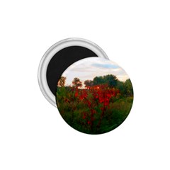Red Weeds 1 75  Magnets by okhismakingart