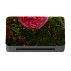 Round Pink Rose Memory Card Reader With Cf by okhismakingart