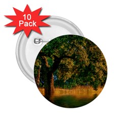 Nature Tree Sunset Giraffe Animal 2 25  Buttons (10 Pack)  by Pakrebo