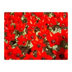 Columbus Commons Red Tulips Double Sided Flano Blanket (mini)  by Riverwoman