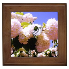 Pink Snowball Branch  Framed Tiles by okhismakingart