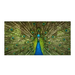 Peacock Feathers Bird Nature Satin Wrap