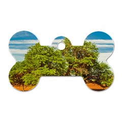 Carob Tree, Talampaya National Park, La Rioja, Argentina Dog Tag Bone (two Sides) by dflcprintsclothing