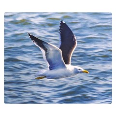 Seagull Flying Over Sea, Montevideo, Uruguay Double Sided Flano Blanket (small)  by dflcprintsclothing