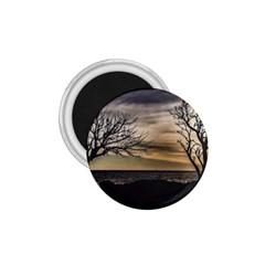 Coastal Sunset Scene At Montevideo City, Uruguay 1 75  Magnets by dflcprintsclothing