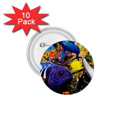 The Life Aquatic 1 75  Buttons (10 Pack) by impacteesstreetwearcollage