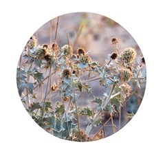 Spikes On The Sun Mini Round Pill Box by DimitriosArt