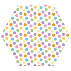 Dot Pattern Wooden Puzzle Hexagon