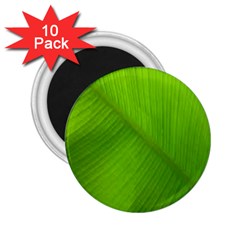 Banana Leaf 2 25  Magnets (10 Pack) 