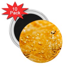 Water 2 25  Magnets (10 Pack) 