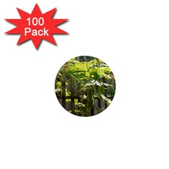 Bitter Melon 1  Mini Magnets (100 Pack) 