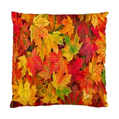 Autumn Background Maple Leaves Standard Cushion Case (one Side) by artworkshop