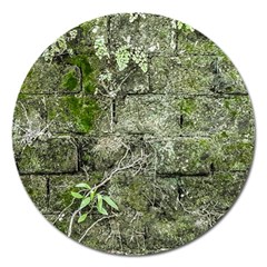 Old Stone Exterior Wall With Moss Magnet 5  (round) by dflcprintsclothing