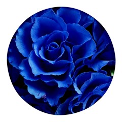 Roses Flowers Plant Romance Round Glass Fridge Magnet (4 Pack) by pakminggu