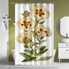 Nature-flower-leaf-plant-isolated Shower Curtain 48  X 72  (small) 